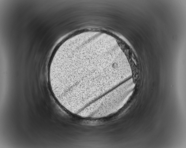 X0000086240791200704261915