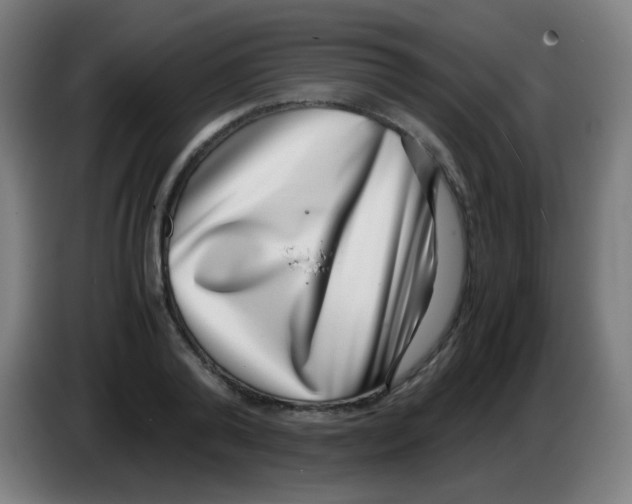 X0000086240792200704261915