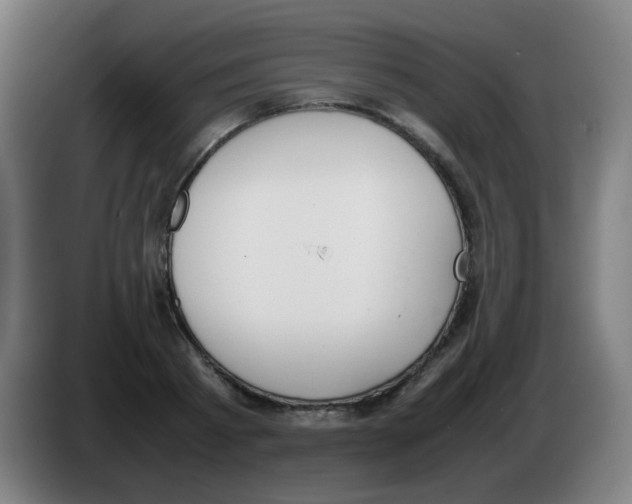 X0000086240793200704261915