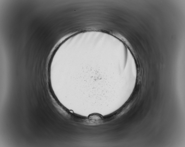 X0000086240795200704261915