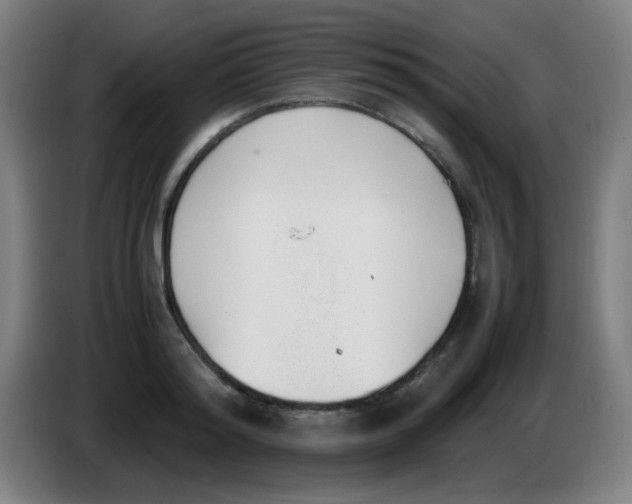 X0000086240796200704261915