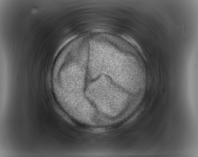 X0000086240798200704261915