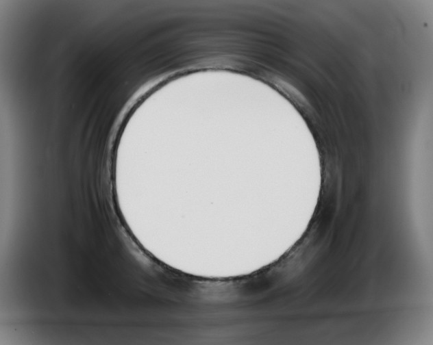 X0000086240800200704261915