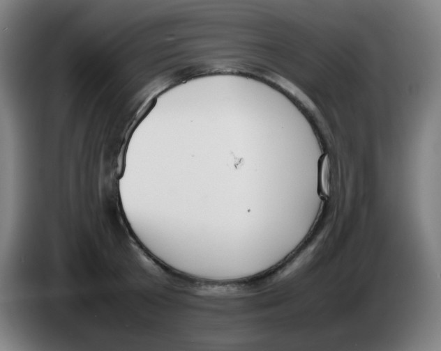 X0000086240801200704261915