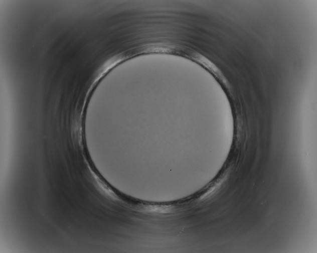 X0000086240802200704261915