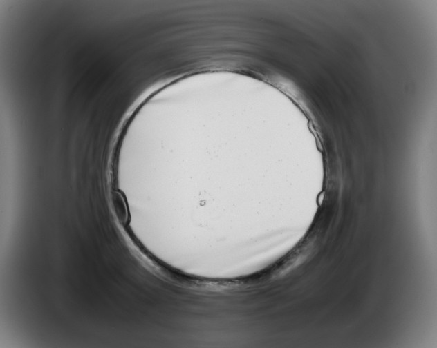 X0000086240803200704261915