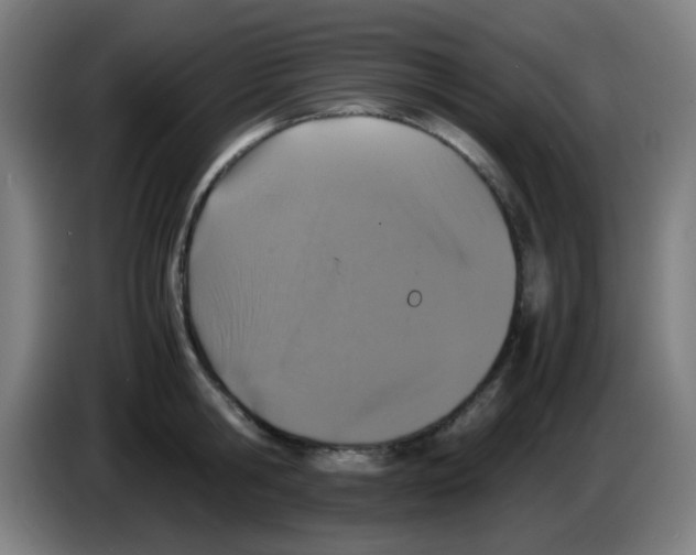 X0000086240806200704261915