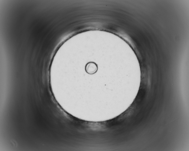 X0000086240807200704261915