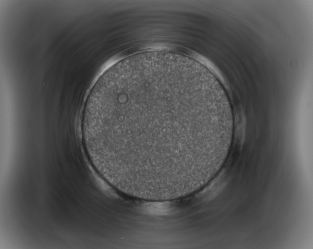 X0000086240810200704261915