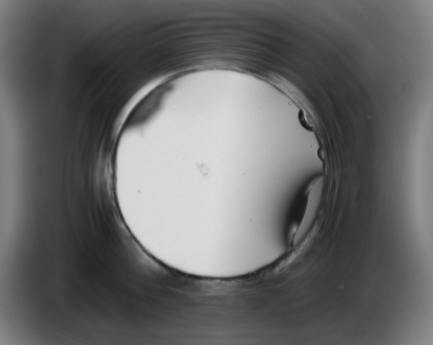 X0000086240812200704261915