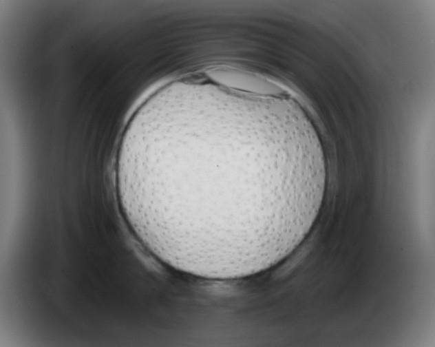 X0000086240814200704261915