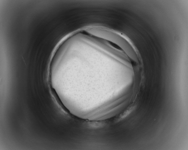 X0000086240815200704261915