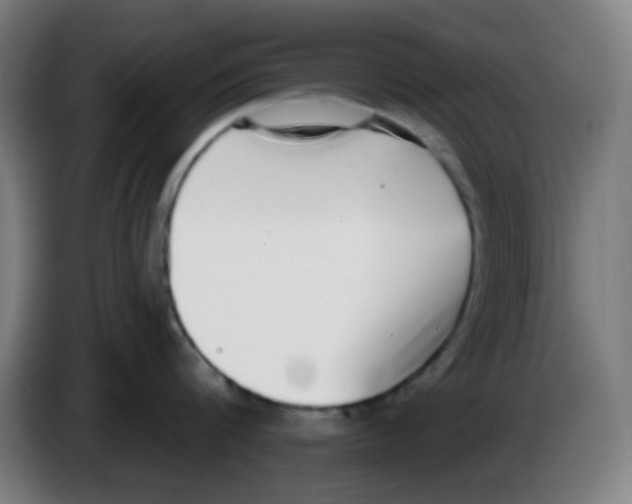 X0000086240816200704261915