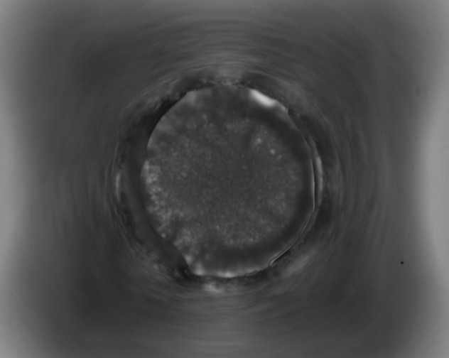 X0000086240818200704261914