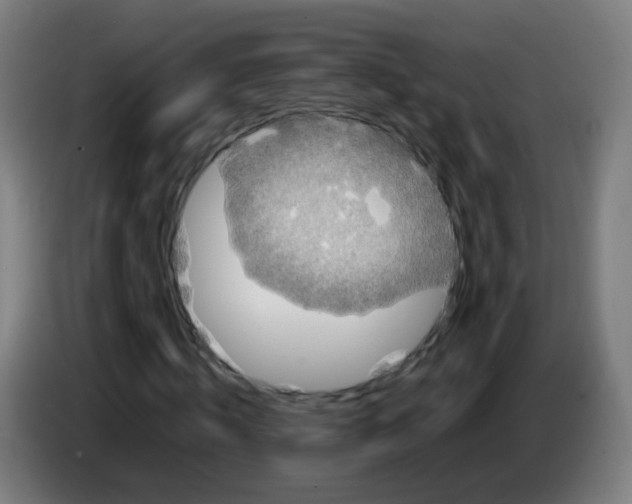 X0000086240820200704261914