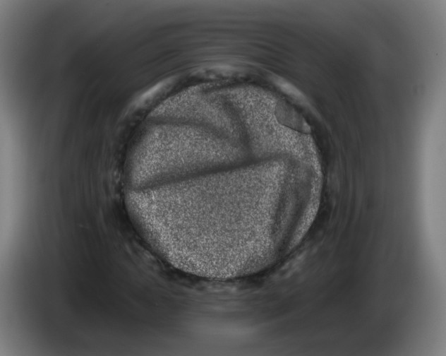 X0000086240822200704261914