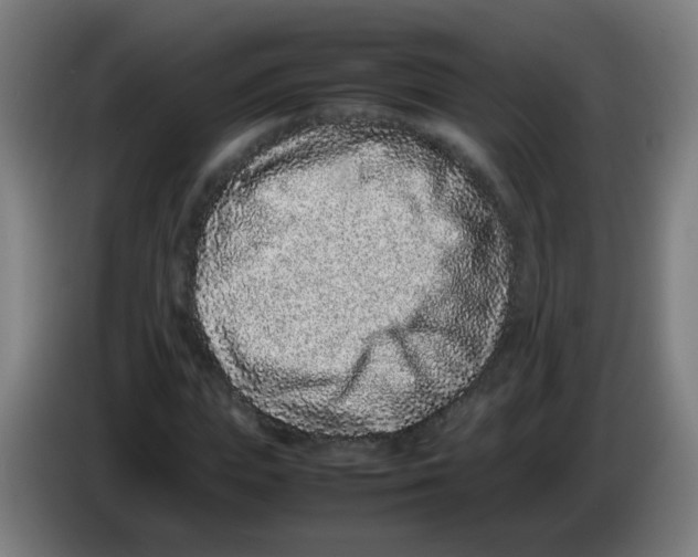X0000086240823200704261914