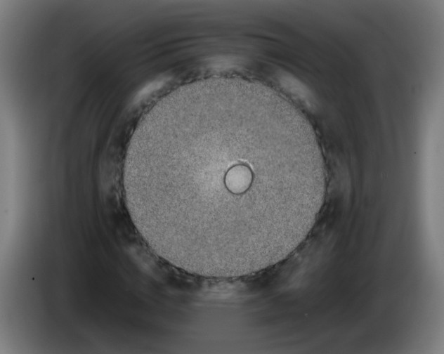 X0000086240824200704261914