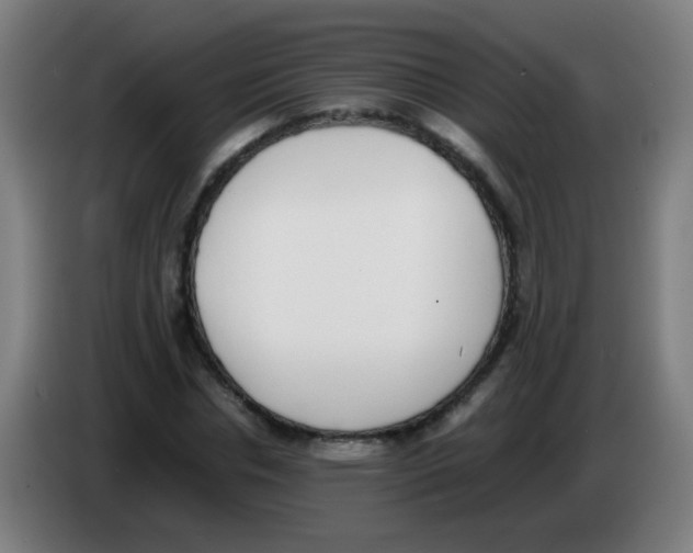 X0000086240826200704261914