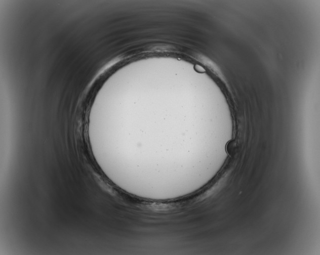 X0000086240827200704261914