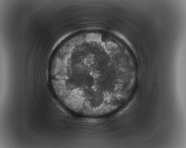 X0000086240829200704261914