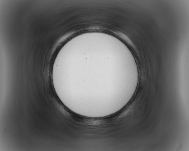 X0000086240831200704261914