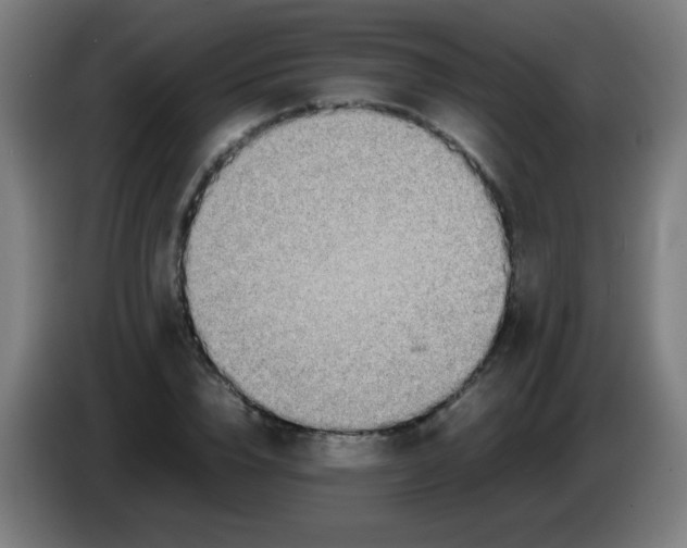 X0000086240832200704261914