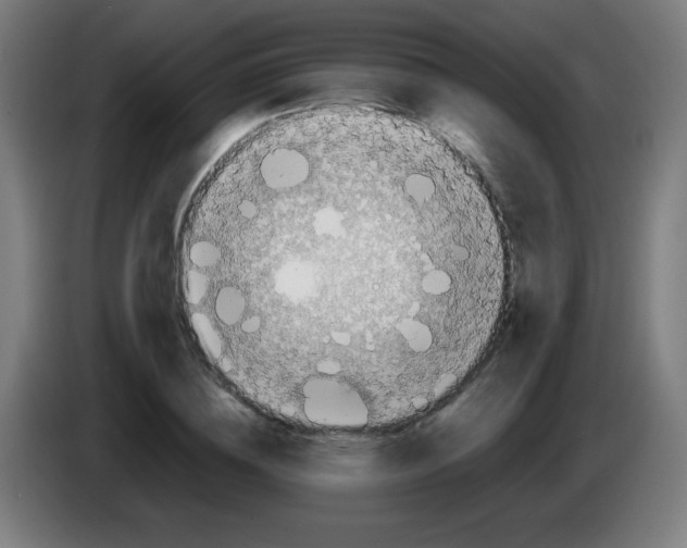 X0000086240836200704261914