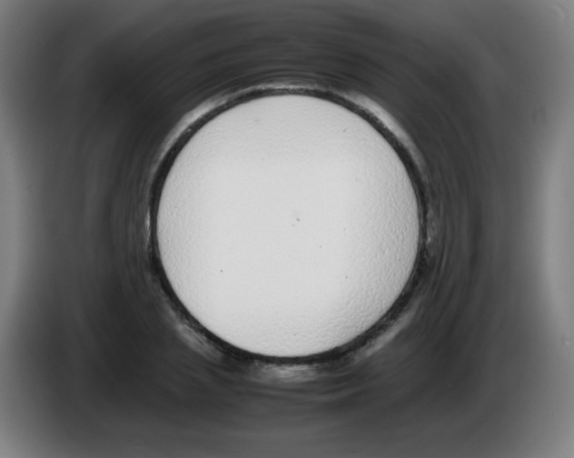 X0000086240837200704261914