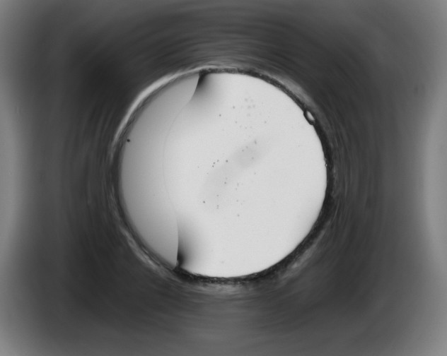X0000086240838200704261914