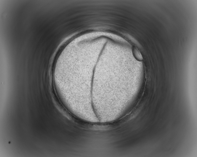 X0000086240840200704261914