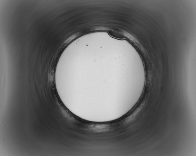 X0000086240841200704261914