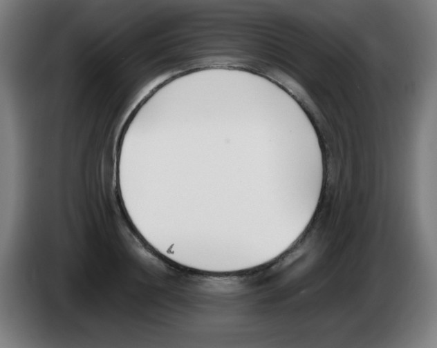 X0000086240844200704261914
