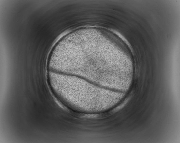 X0000086240845200704261914