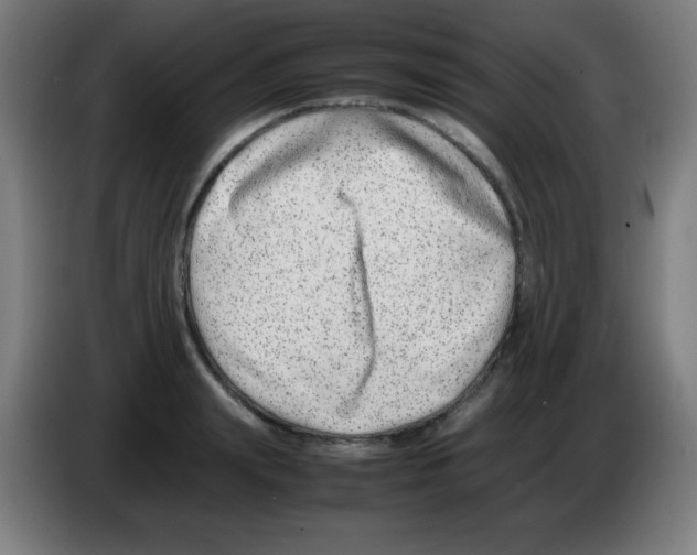 X0000086240847200704261914