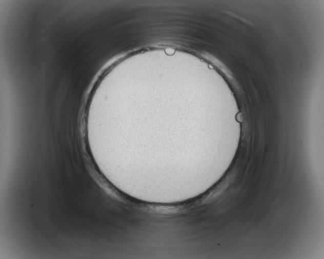 X0000086240848200704261914