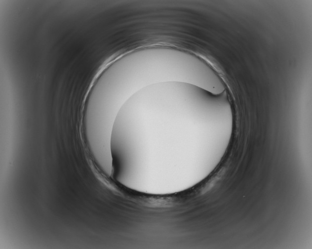 X0000086240850200704261914