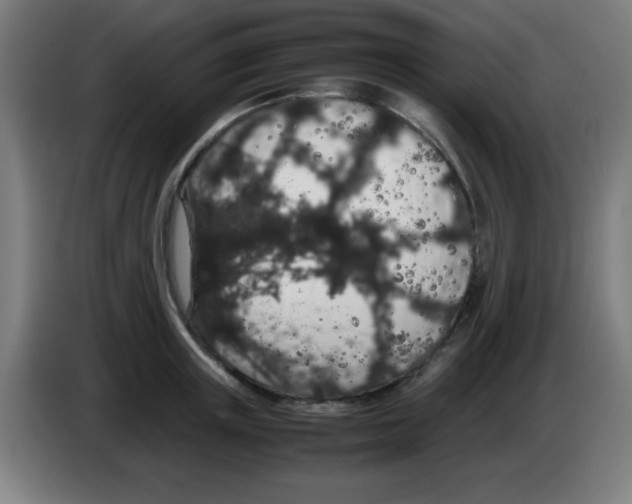X0000086240851200704261914