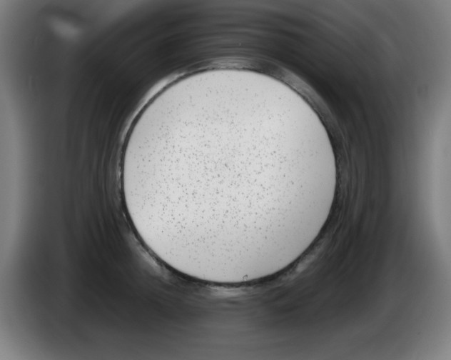X0000086240852200704261914