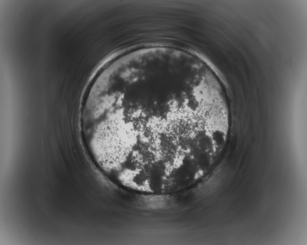 X0000086240853200704261914