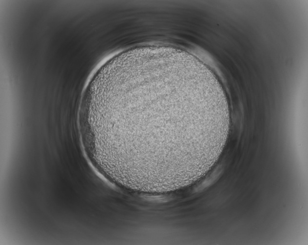 X0000086240855200704261914