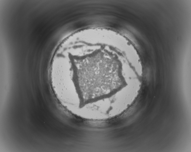 X0000086240856200704261914