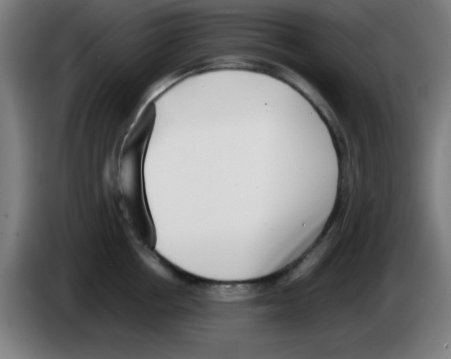 X0000086240858200704261915