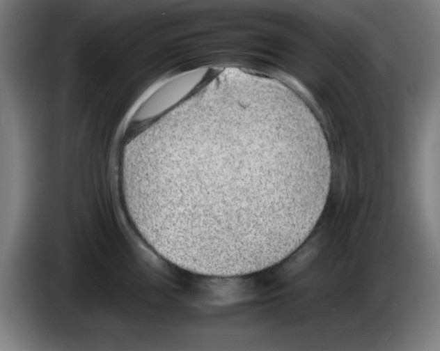 X0000086240859200704261915