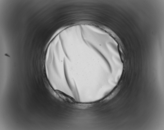 X0000086240860200704261915