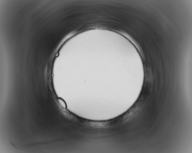 X0000086240861200704261915