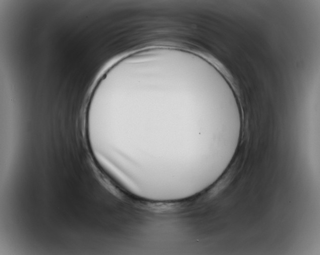X0000086240862200704261915