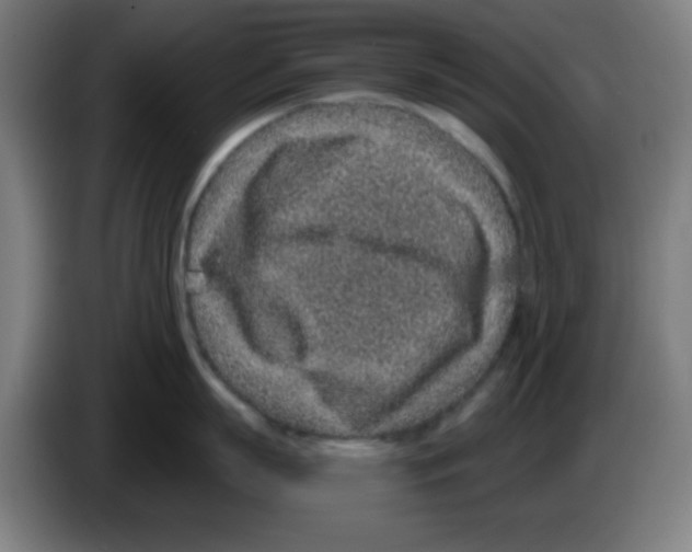 X0000086240863200704261915