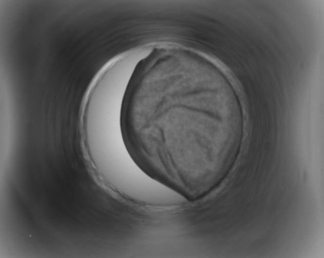 X0000086240864200704261915
