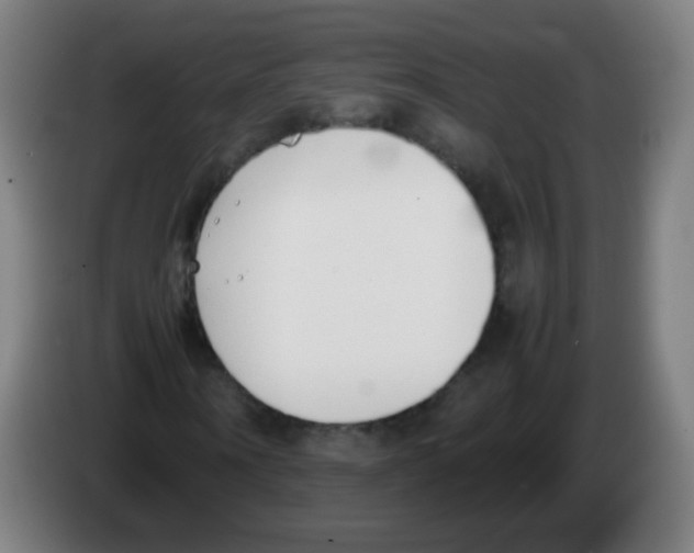 X0000086240866200704261914